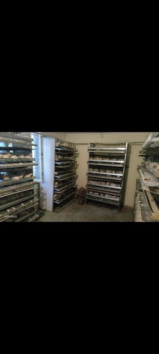 Клетки для перепелов. Бөденеге клетка