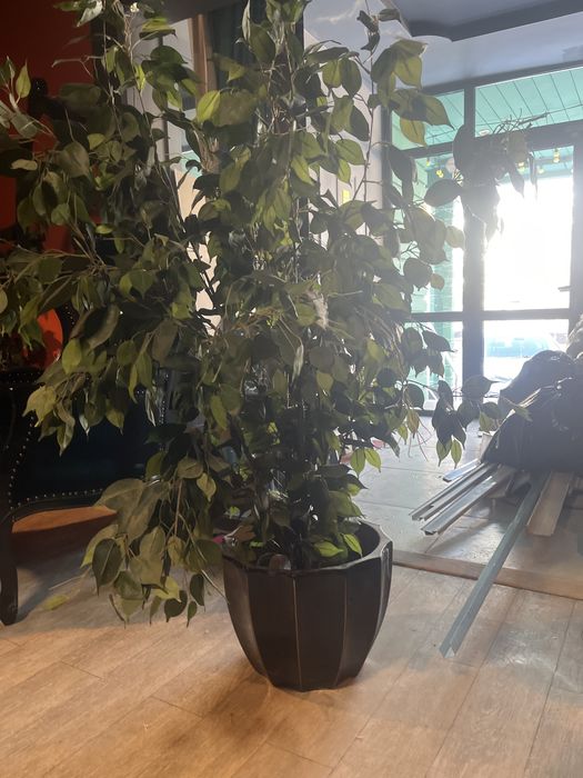 Вазоны керамические