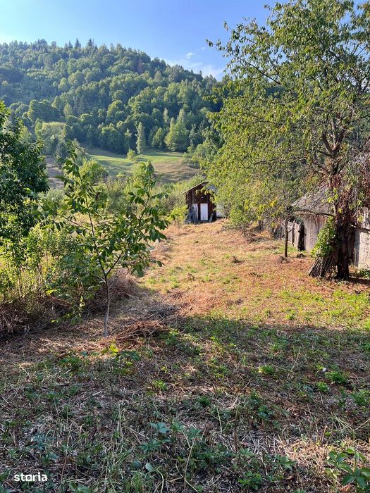 Teren de Vanzare Ceahlau 1522mp Intravilan la 6km de Durau & Lac Bicaz