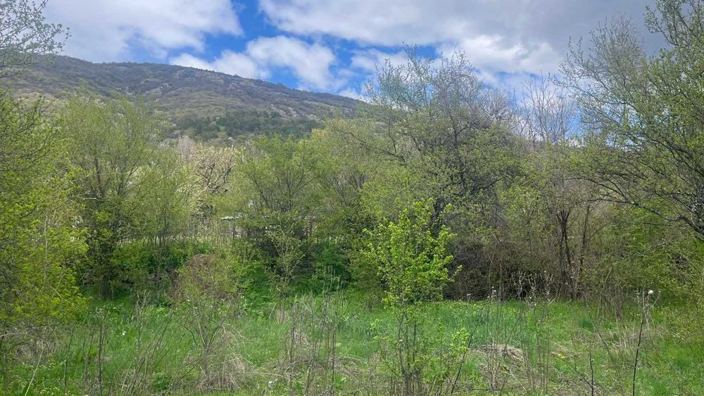 Продава се Земеделски имот в Карлово -  кв.м за 10 €/дка - Снимка #2