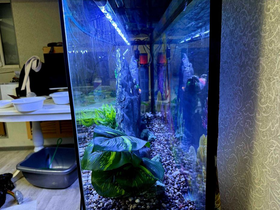Продаётся аквариум 250 литров