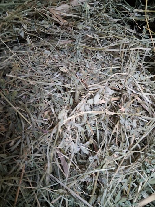 Vând baloți de luțărnă