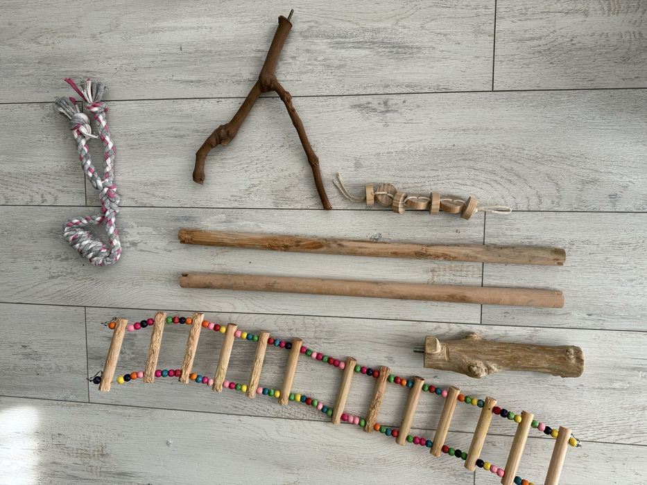 Папагал Малък Александър