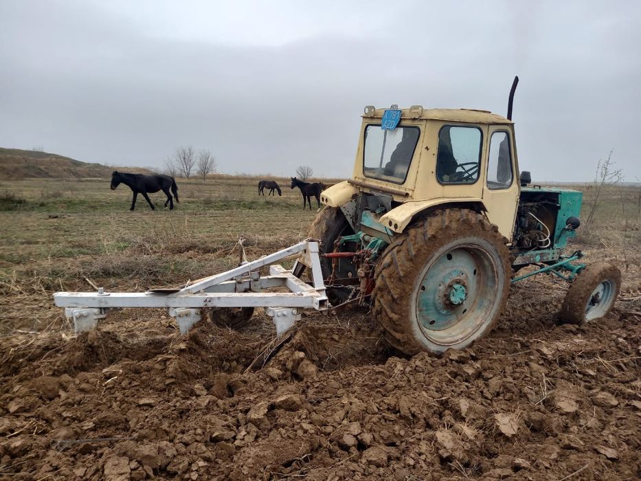 Юмз жагдайы жаксы