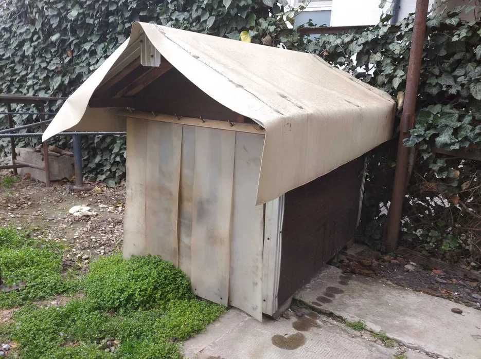 cusca caine talie mare