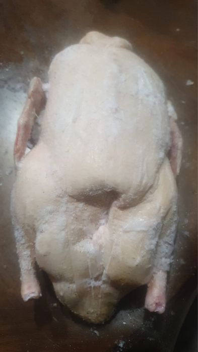 Продам мясо домашних кур уток гусей