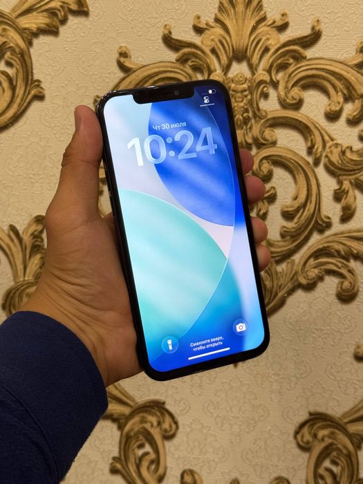 Iphone 12 Pro Max