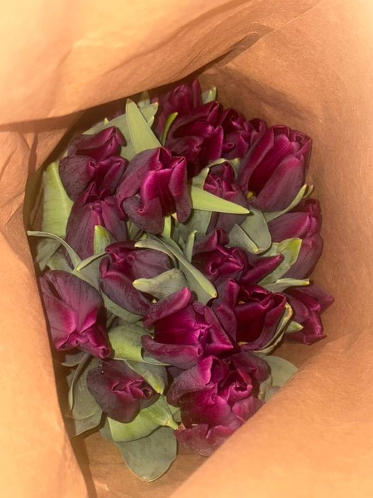 Супер цены! Шымкент