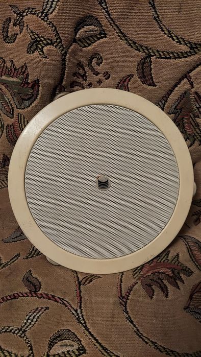 Динамик Paso рабочий