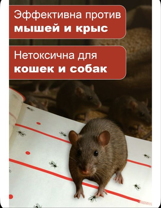 Лента от мух 10 метров длина 25 см ширина