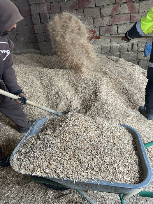 Опилки древесина