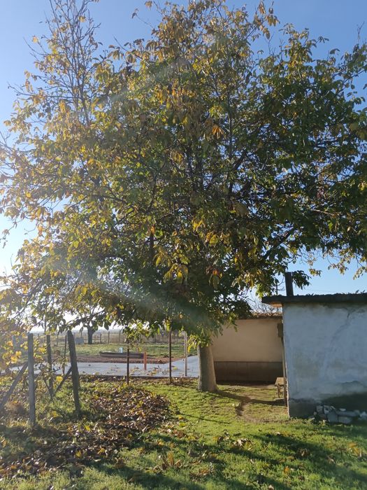 Продава се Парцел в с. Паничери, Област Пловдив - 900 кв.м за 6 €/кв.м - Снимка #3