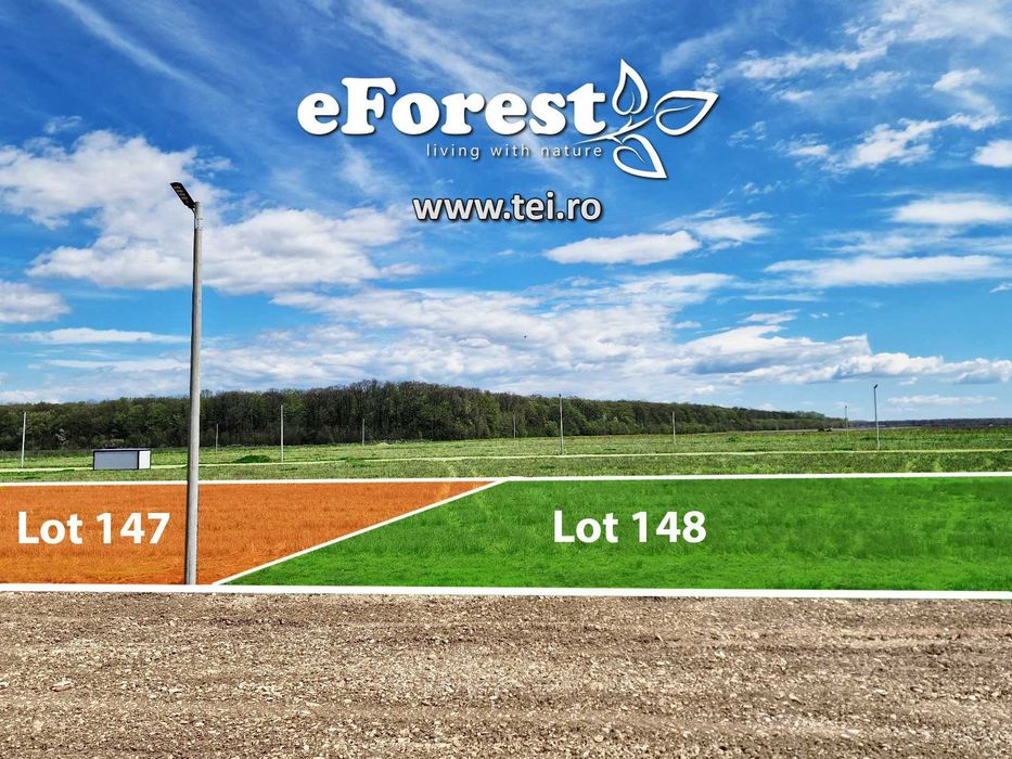 Loturi de casă 720 - 900 mp, langă Pădure în eForest, acces asfaltat
