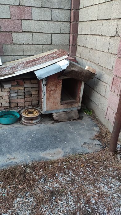 Будка для большой собаки