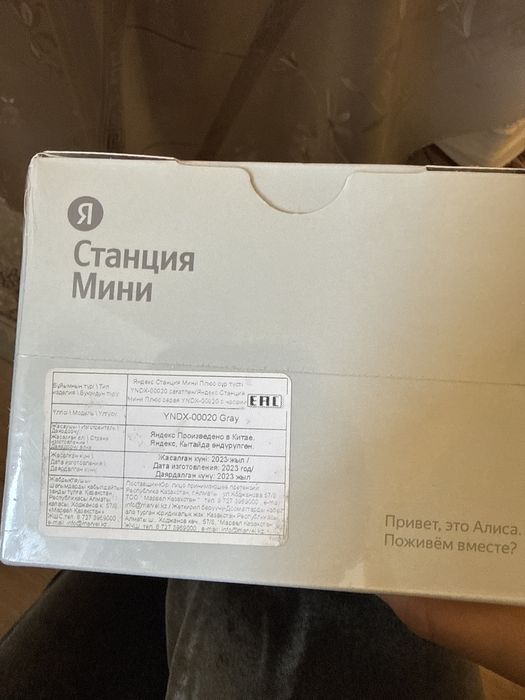 Алиса станция мини