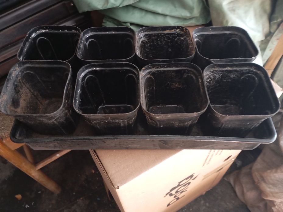 Набор для рассады