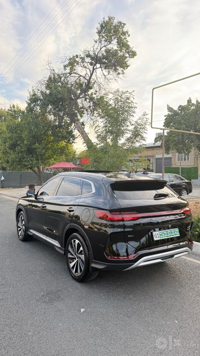 BYD Champion Hybrid