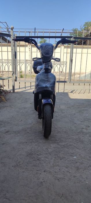 Scooter 14 chontak model revion