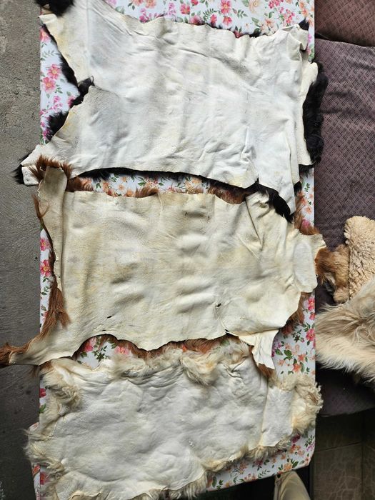 Piei tabacite si blanuri de miel si ied