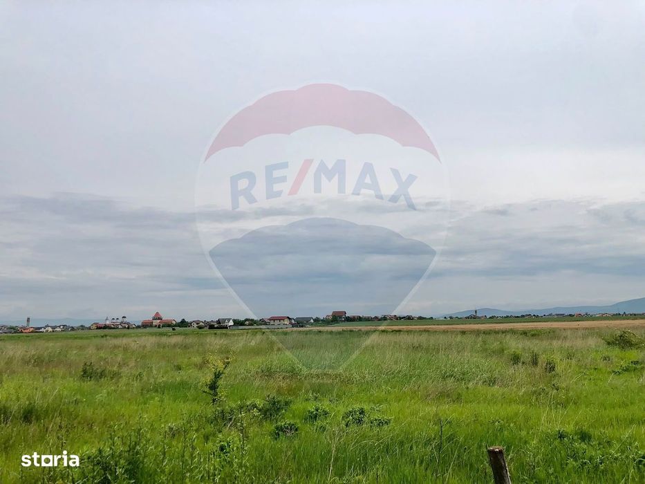 Comision 0% | 4 Parcele 538mp | Harman, Strada MIHAIL SADOVEANU