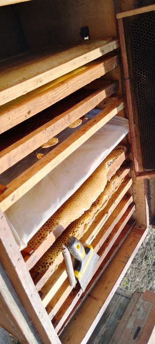 Asal yashiklari sotiladi 4 tasi optom