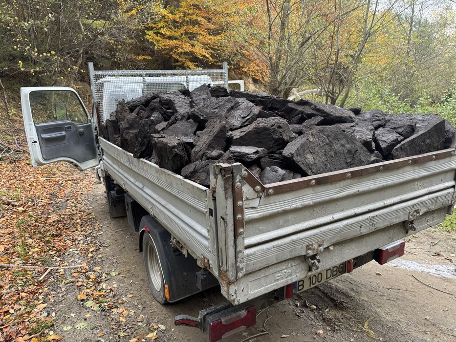 Carbuni Lignit sortat manual fara praf