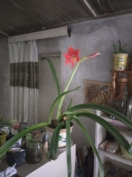 Продам готовую башню как сабрали не испольговали