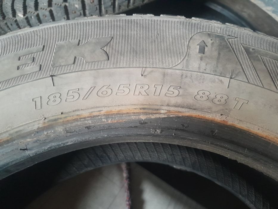 Пакрышки зимний шиповный