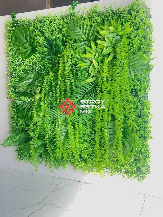 Вертикальное Озеленение стены - Растения на Стену – Фитостена