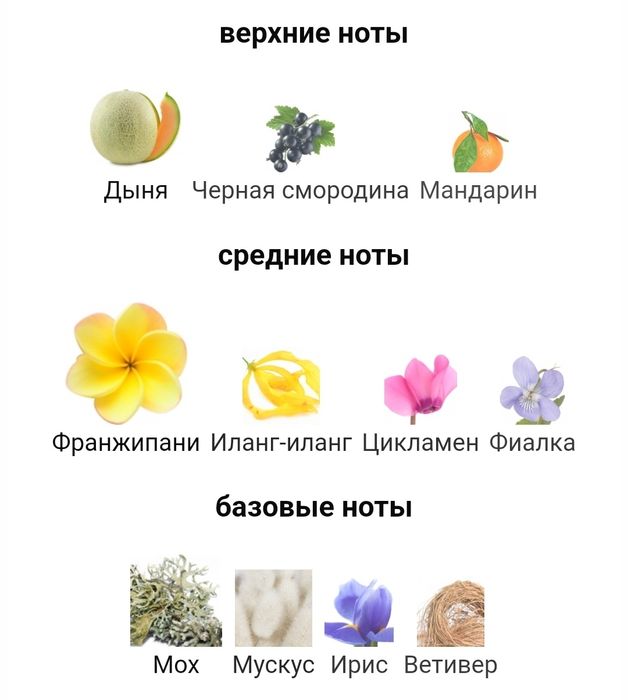 Enigma Dare to dream