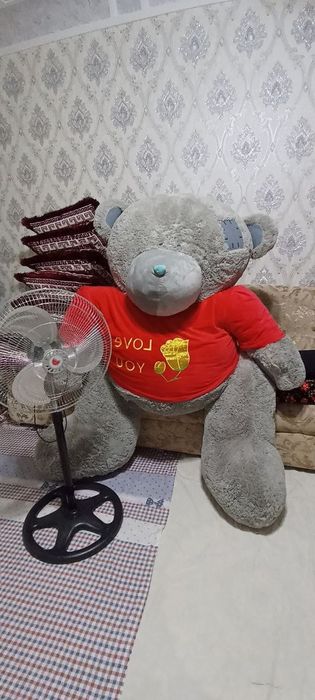 Teddy ayiq padarka uchun zo'r narsa yangiday