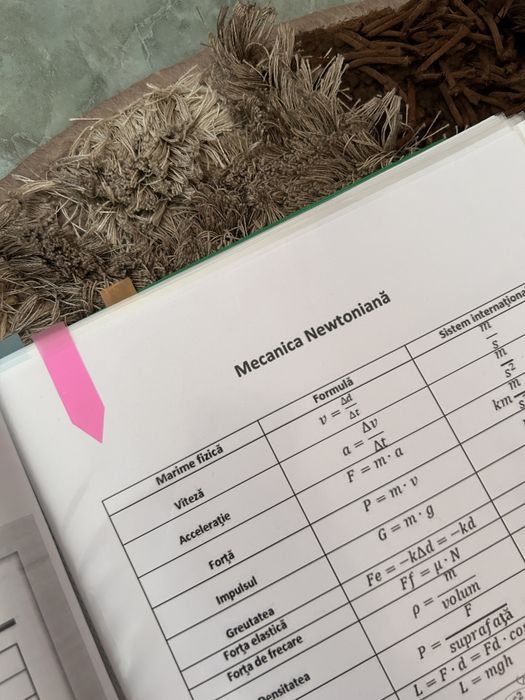 Materiale BAC FIZICA-real