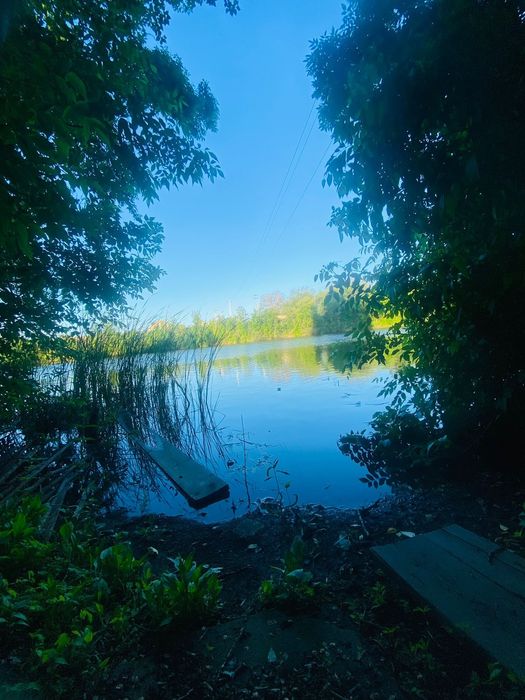 Продам дачу со своей береговой линией.