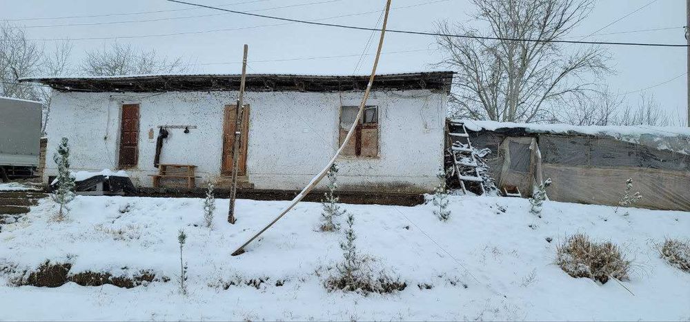 Ishlab chiqarish va qo‘ziqorin yetishtirish uchun qulay joy