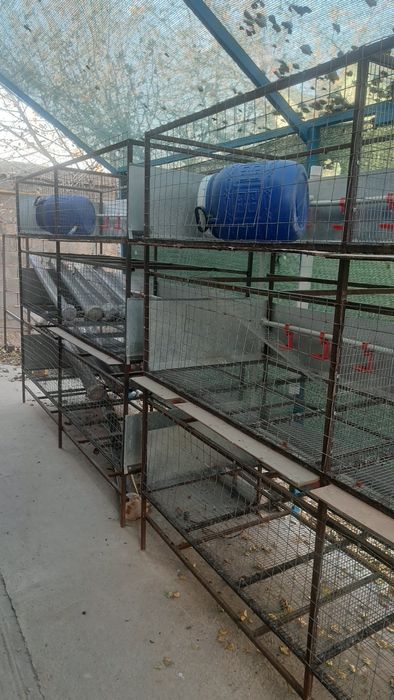 Клетка для кур бройлер.