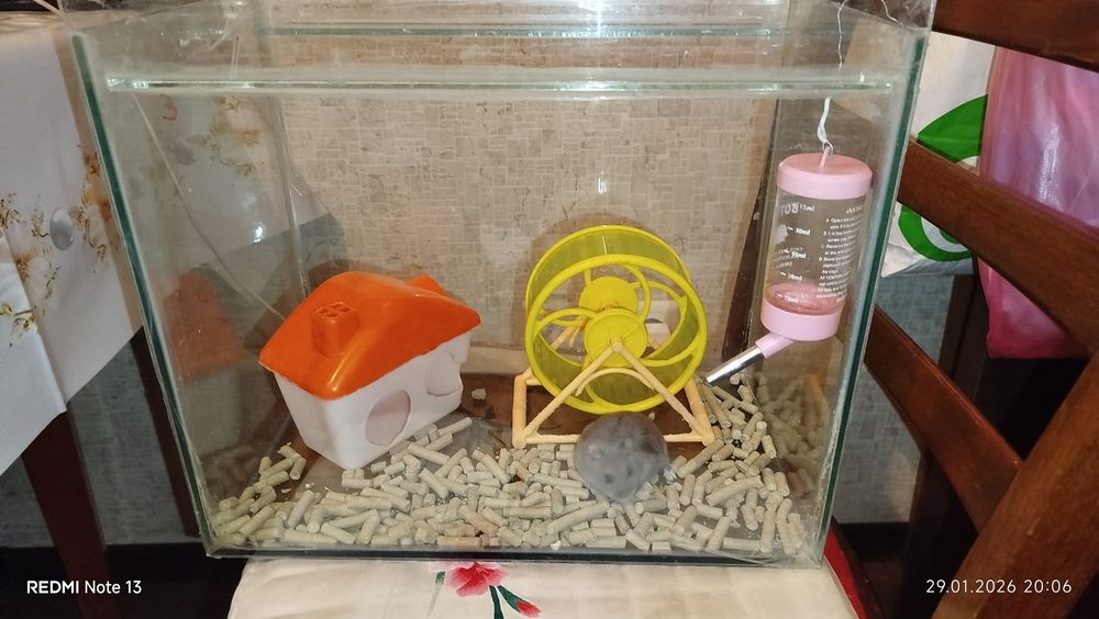 Набор для хомячков