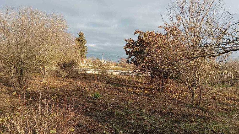 Продава се Къща в с. Полковник Минково, Област Добрич - 54 кв.м за 543 €/кв.м - Снимка #9