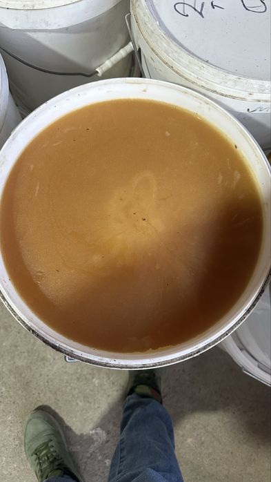 Тоза ва сифатли асал оптом ва килограм Мёд оптом и розницу