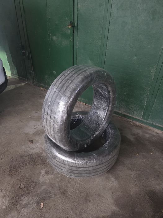 BYD Champion new 2026