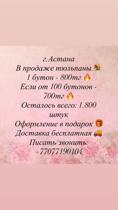 Продаем тюльпаны на 8 марта