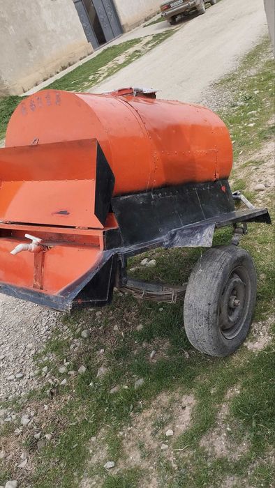 mo'rs bachok arzon narxda yoz kelmoqda