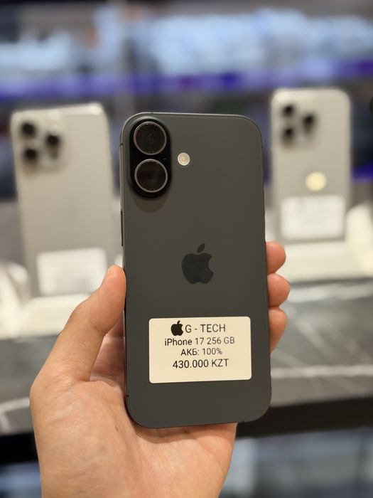 iPhone 17 / 256 / 100%