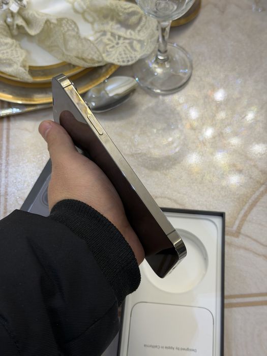 Iphone 13 pro max srochna