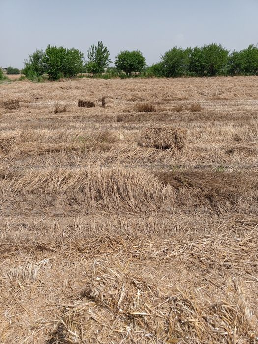 Somon press sotiladi dastafka qiberamiz Toshkent viloyati liboy joyiga