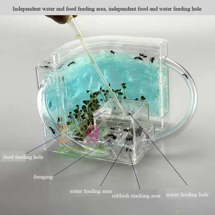 Ферма за мравки с LED осветление - подходяща за деца