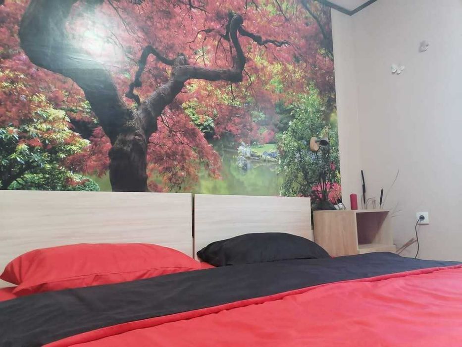 Продава се Къща в с. Бели Осъм, Област Ловеч - 160 кв.м за 938 €/кв.м - Снимка #2