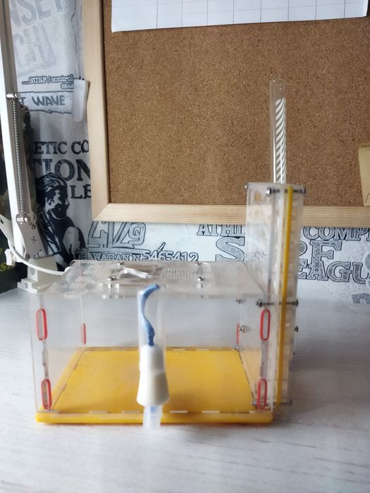 Муравьиная ферма