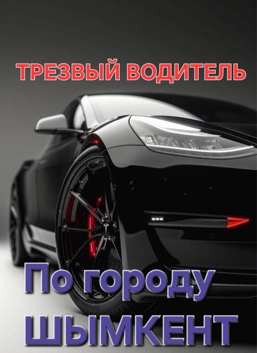 Трезвый Водитель