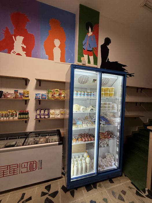 Оборудование для магазина б/у морозильники холодильник стол стелажи.