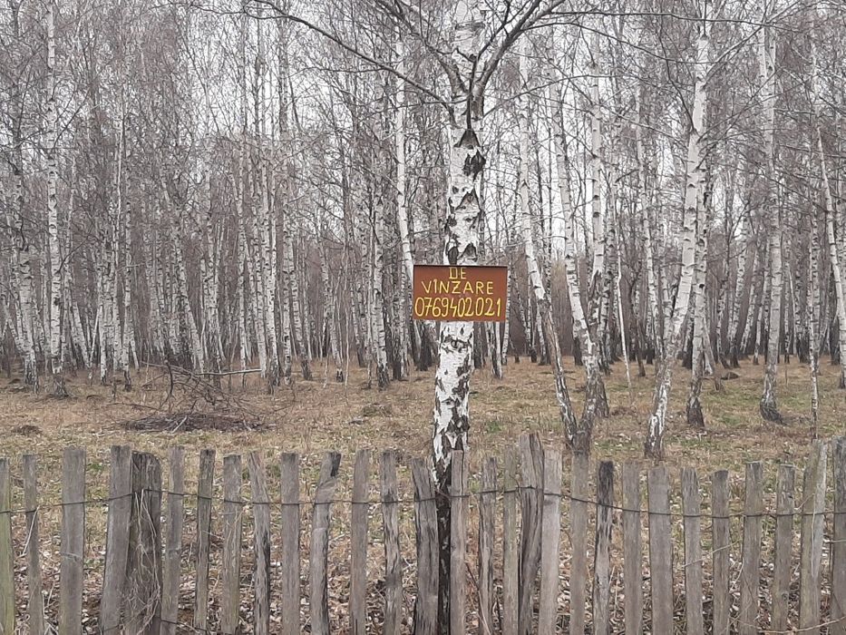 Vânzare teren intravilan